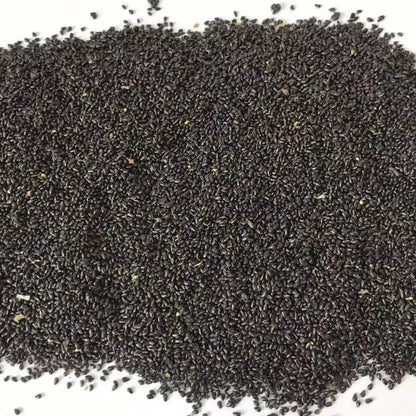 White Pitaya Dragon Seeds