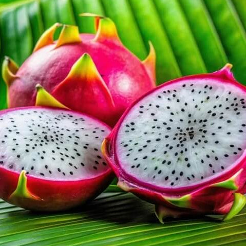 White Pitaya Dragon Seeds