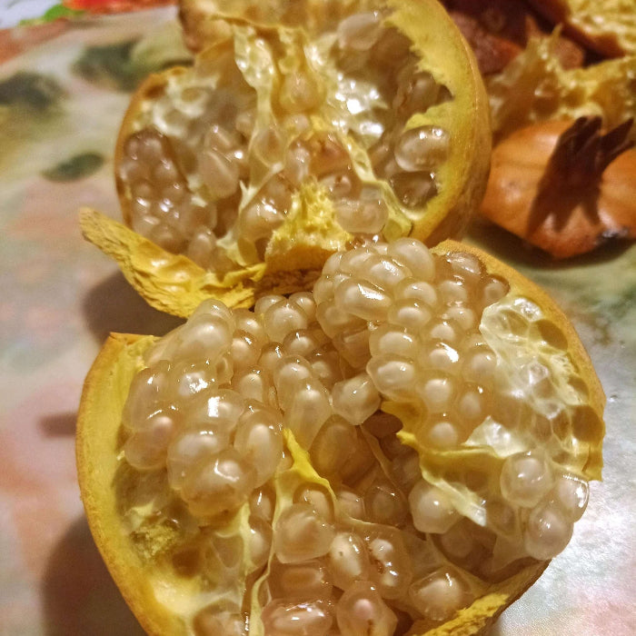 White Pomegranate Seeds