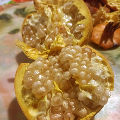 White Pomegranate Seeds