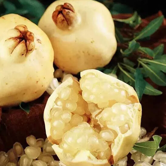 White Pomegranate Seeds