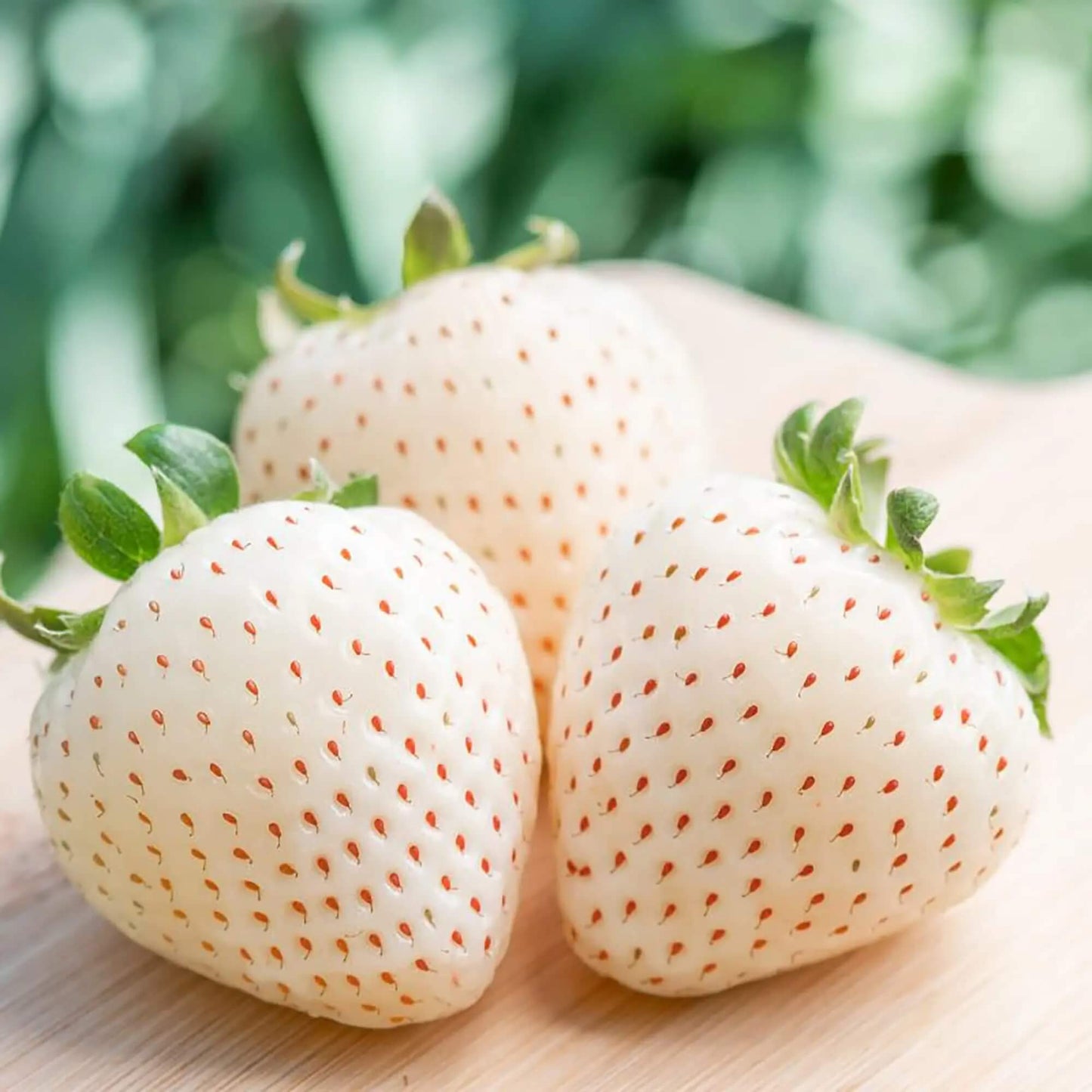 White Strawberry Seeds