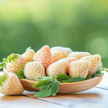 White Strawberry Seeds
