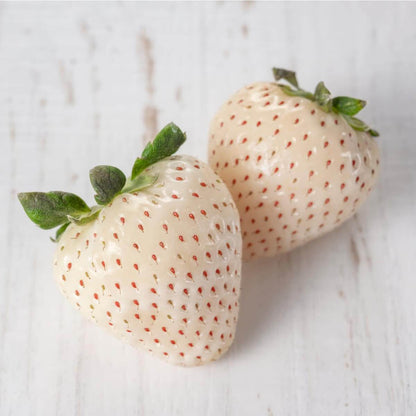 White Strawberry Seeds