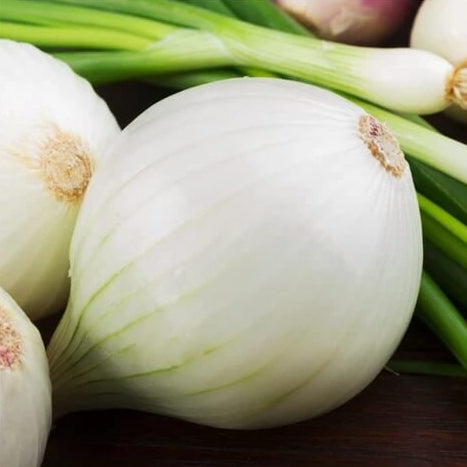 White Sweet Spanish Onion Seeds