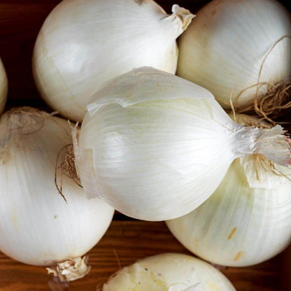 White Sweet Spanish Onion Seeds
