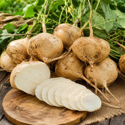 White Yam Seeds 
