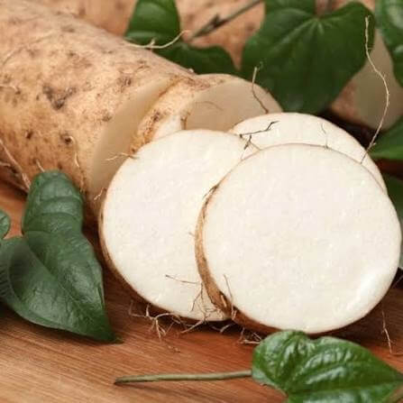 White Yam Seeds 