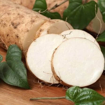 White Yam Seeds 