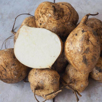 White Yam Seeds 