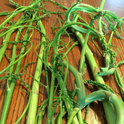 Wild Asparagus Seeds