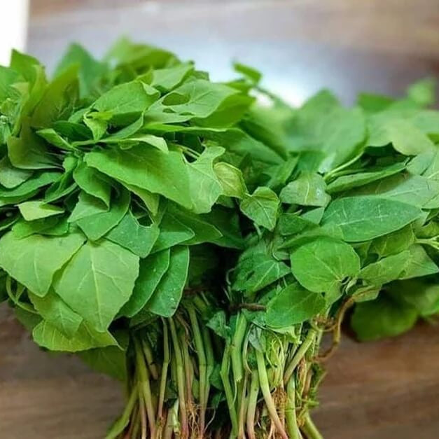 Wild Spinach Seeds - Vegetable Plant