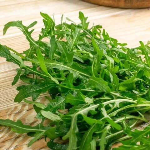 Wild arugula seeds - Vegetable Plant