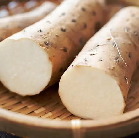 Wild yam seeds - Vegetable Plant