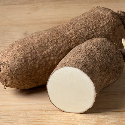 Wild yam seeds - Vegetable Plant