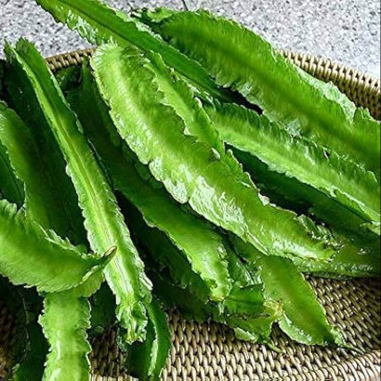 Winged Bean Seeds - Vegetable Plant