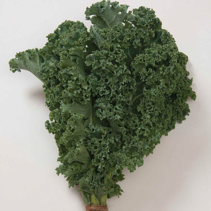 Winterbor kale seeds - Vegetable Plant