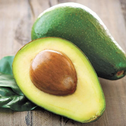 Wurtz Littlecado Avocado Seeds