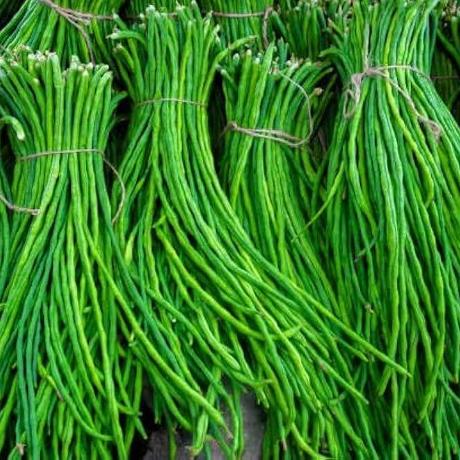 Yardlong Bean Seeds - Vegetable Plant