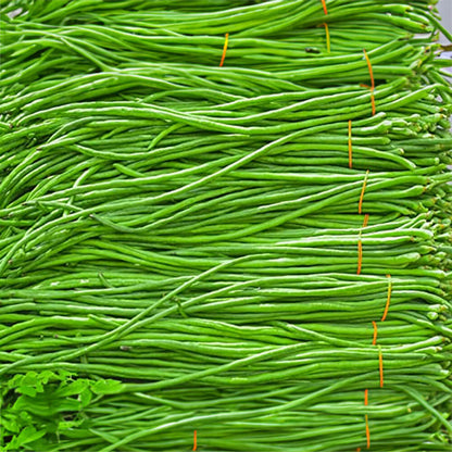 Yardlong Bean Seeds - Vegetable Plant