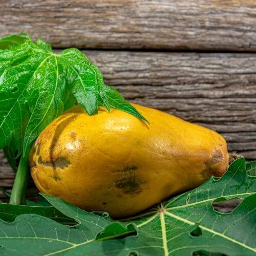 Yellow-Green Papaya Seeds