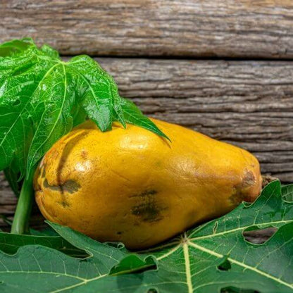 Yellow-Green Papaya Seeds