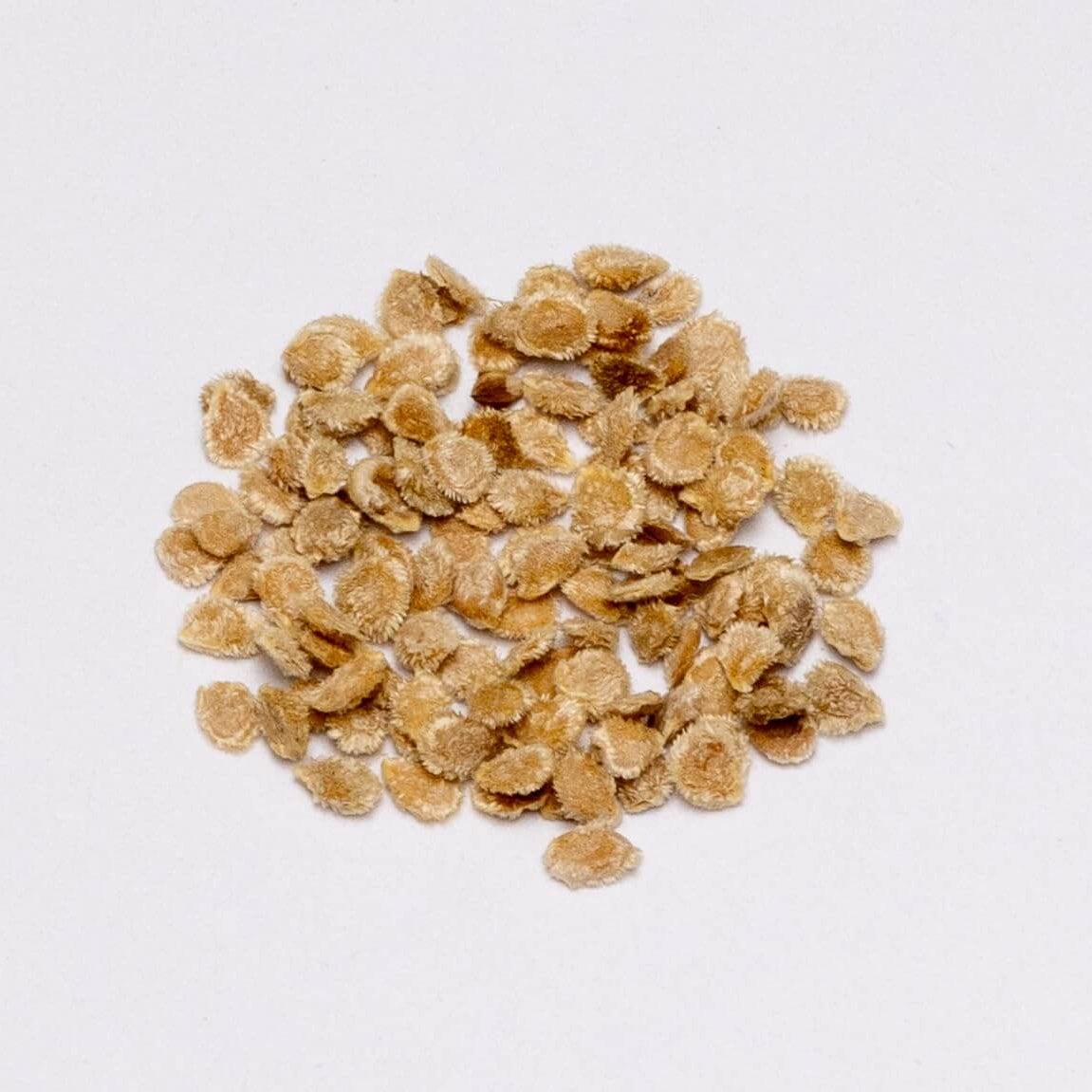 Yellow Banana Tomato Seeds