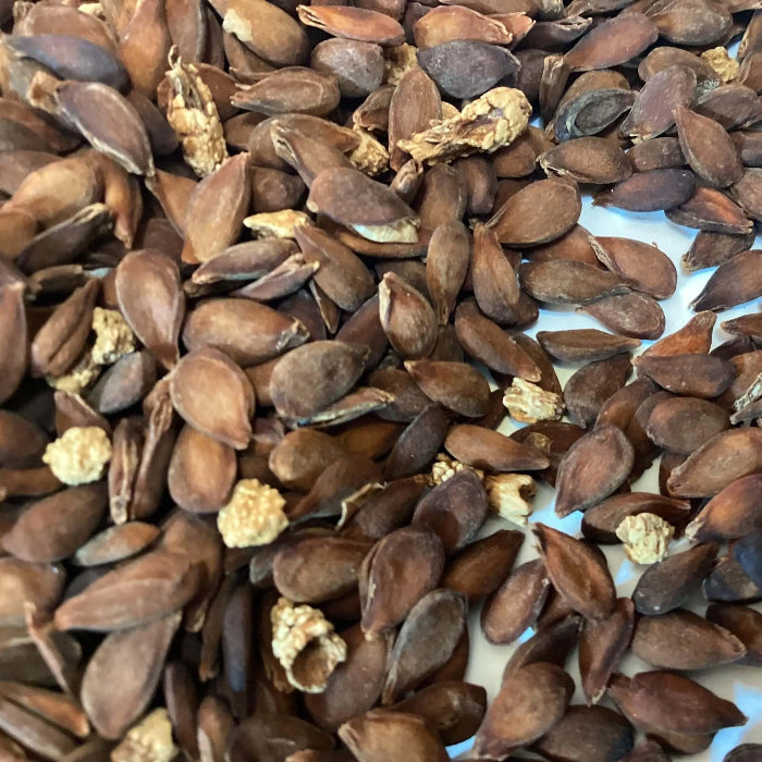 Yellow Bartlett Pear Seeds