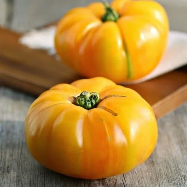 Yellow Brandywine Tomato Seeds - Vegetable Plant