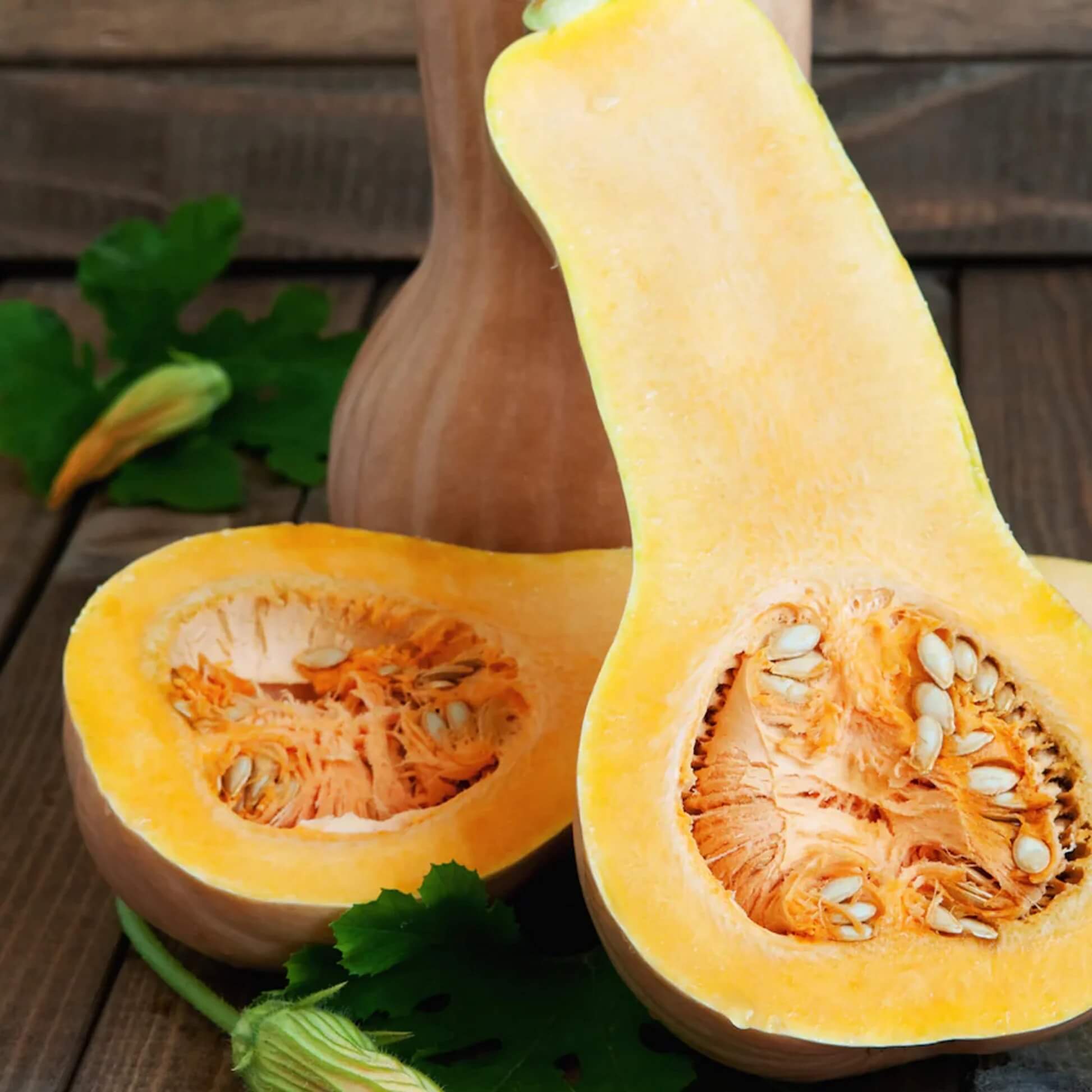 Yellow Butternut  Squash Seeds