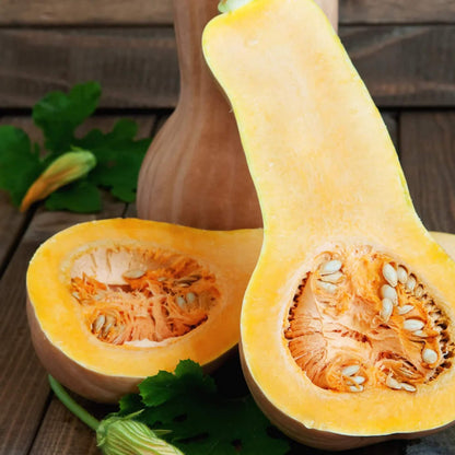 Yellow Butternut  Squash Seeds