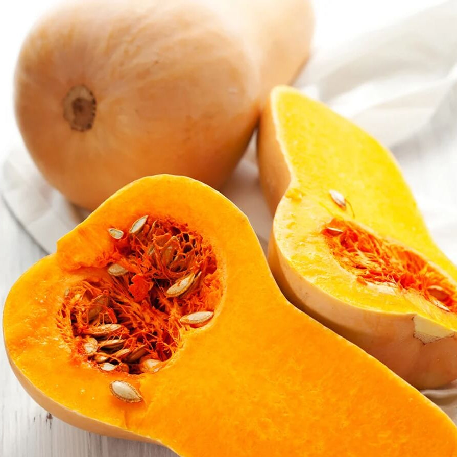 Yellow Butternut  Squash Seeds