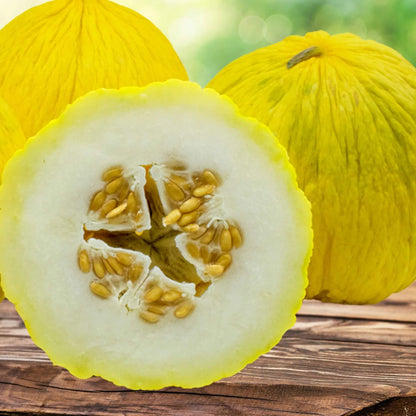 Yellow Casaba Melon Seeds