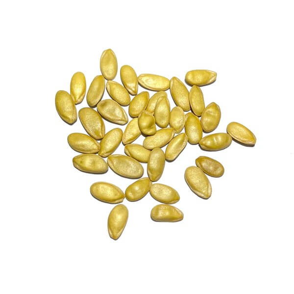 Yellow Casaba Melon Seeds