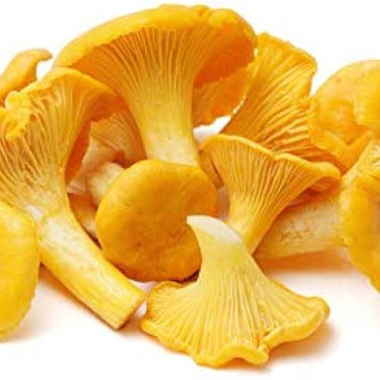 Yellow Chanterelle Mushroom Spawn