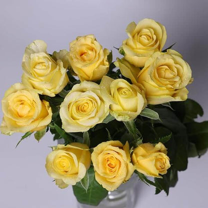 Yellow Desert Rose Seeds - Flower Plant