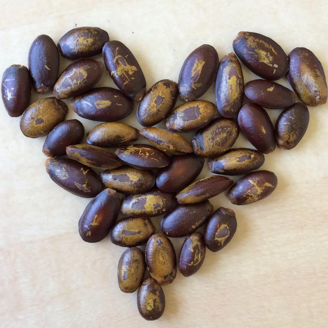 Yellow Green Soursop Seeds 