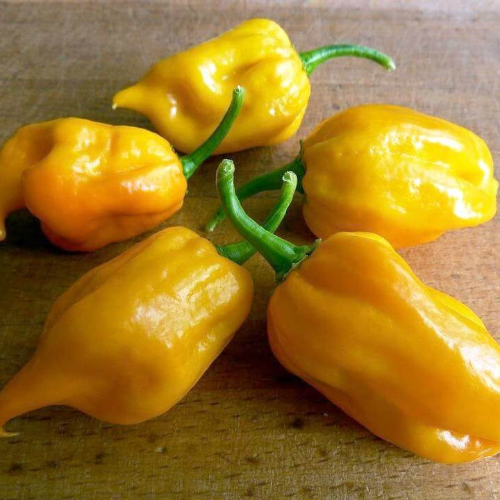 Yellow Habanero Seeds