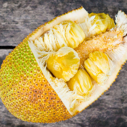 Yellow Jackfruit Seeds