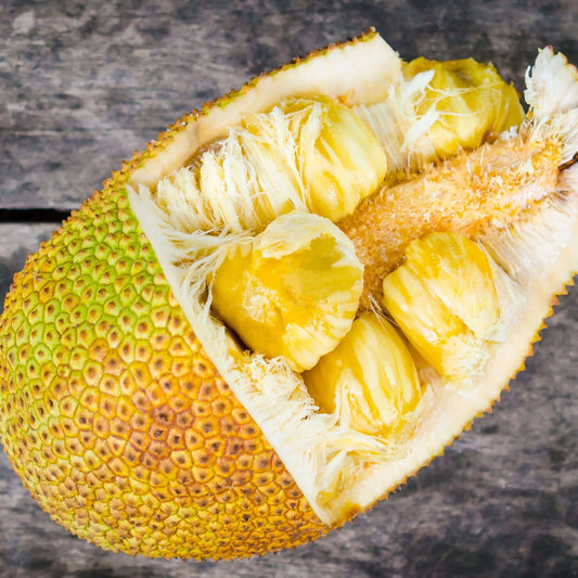 Yellow Jackfruit Seeds