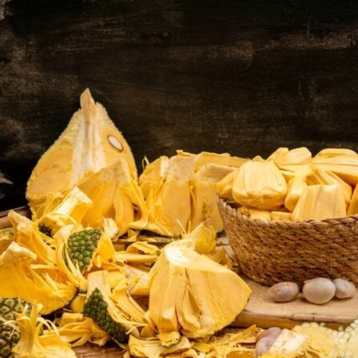 Yellow Jackfruit Seeds