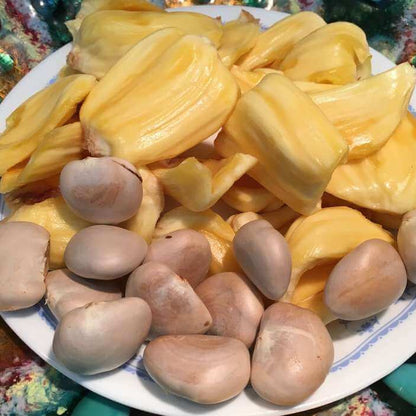 Yellow Jackfruit Seeds