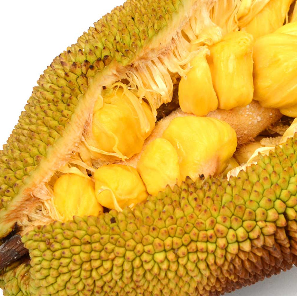 Yellow Jackfruit Seeds