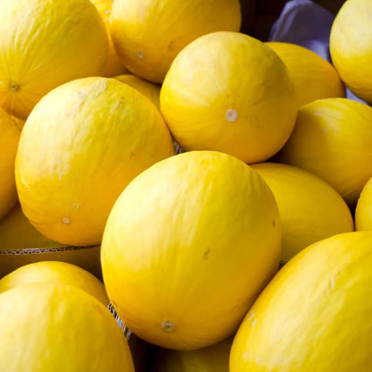 Yellow Melon Seeds