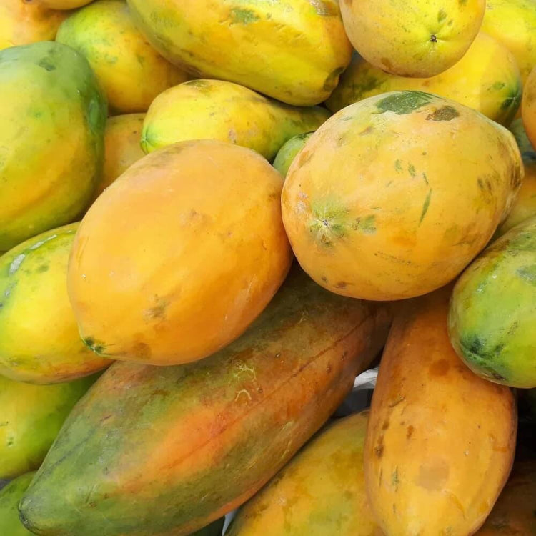 Yellow Papaya Seeds