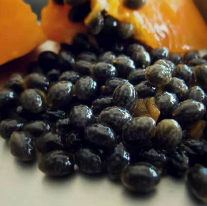 Yellow Papaya Seeds