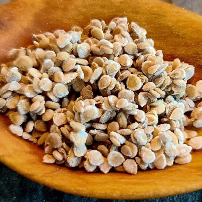 Yellow Pear Tomato Seeds 