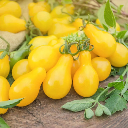 Yellow Pear Tomato Seeds 