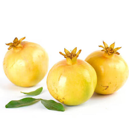 Yellow Pomegranate Seeds