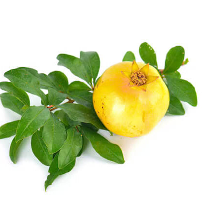 Yellow Pomegranate Seeds